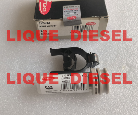 China nozzle valve kit 7135-661 7135 661 7135661  DELPHI NOZZLE 137PRD +CONTROL VALVE 28538389 / 9308-621C supplier