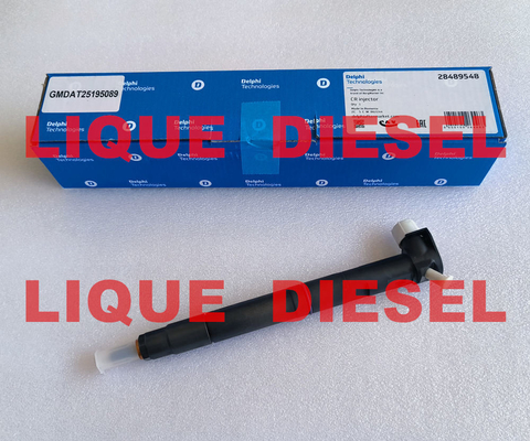 China DELPHI Common rail injector 28489548 25195089 = 28264951 25183186 100% Genuine and new. supplier