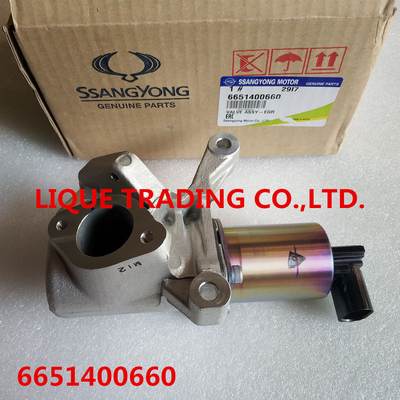 China SSANGYONG EGR VALVE ASSY 6651400660 Actuator Exhaust Gas Recirculation Valve A6651400660 supplier