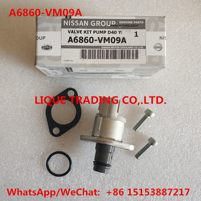China Overhaul kits A6860-VM09A  , A6860VM09A  ,  A6860 VM09A   include valve 294200-0360 supplier