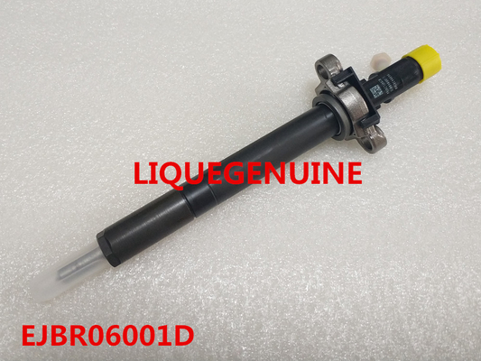 China DELPHI INJECTOR EJBR06001D , R06001D ,968843858  Original and New Common Rail Injector EJBR06001D , R06001D , 9688438580 supplier