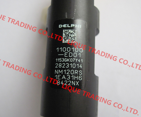 China DELPHI common rail injector 28231014 for Great Wall Hover H6 1100100-ED01 , 1100100ED01 supplier
