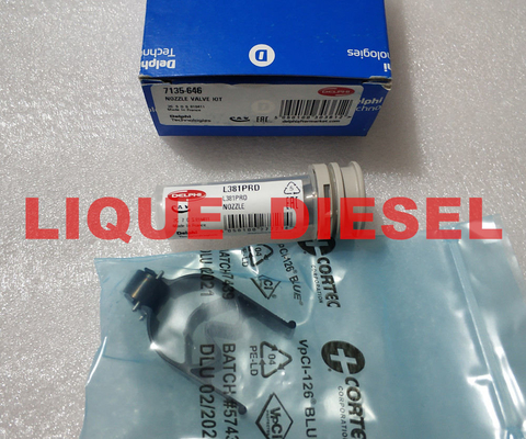 China DELPHI NOZZLE VALVE KIT 7135-646 include (nozzle L381PRD + valve 9308-621C / 28538389 )  7135 646 , 7135646 supplier