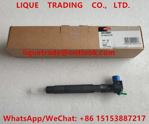 China DELPHI Fuel Injector 28230891 , A6510701387 , 6510701387 Common Rail INJECTOR supplier