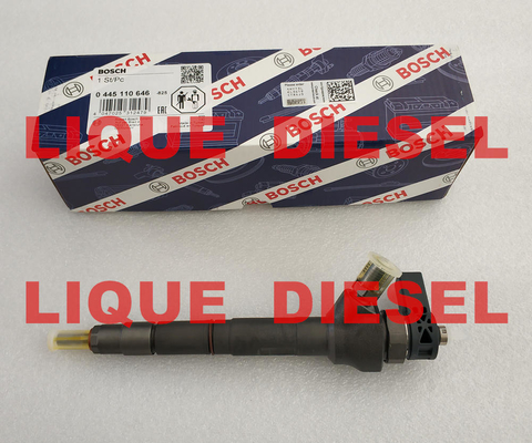 China BOSCH Common rail injector 0445110646 0445110369  0445110647  0 445 110 646 0445110 646 supplier