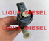 BOSCH Common rail fuel injector 0445110410 33800-2A800 0 445 110 410 338002A800 33800 2A800 supplier