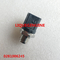 BOSCH Original and New Pressure Sensor 0281006245 , 0 281 006 245 supplier