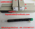 DELPHI Original and New CR Injector EJBR03001D / R03001D / 33800-4X900 / 33801-4X900 for KIA EJBR02501Z supplier