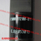 EJBR05301D Original Common Rail injector EJBR05301D for YUCHAI F50001112100011 supplier