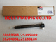 DELPHI Common rail injector 28489548 / 25195089 = 28264951 / 25183186 supplier