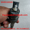 BOSCH Common rail injector 0445110519 , 0 445 110 519 for A4000700187 , 4000700187 supplier
