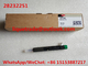 DELPHI Common rail injector 28232251 , 166001137R  Original and New supplier