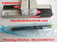 DELPHI Common Rail Injector EJBR05001D , R05001D , 320/06623 , 320-06623 supplier