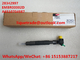 DELPHI Common rail injector 28342997 for Mercedes Benz A6510704987 supplier