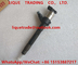 DENSO common rail injector 295050-1760, 1465A439 , SM295050-1760 , 9729505-176 for MITSUBISHIContact supplier