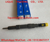 DELPHI common rail injector R01001D , EJDR01001D Genuine Fuel injector R01001D , EJDR01001D supplier