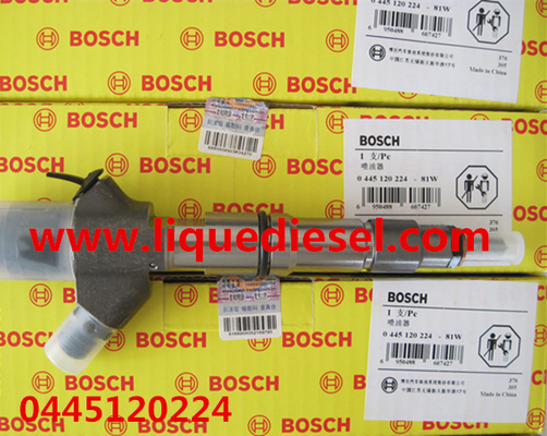 China BOSCH common rail injector 0445120224,0445120170 for WEICHAI WP10 612600080618 supplier