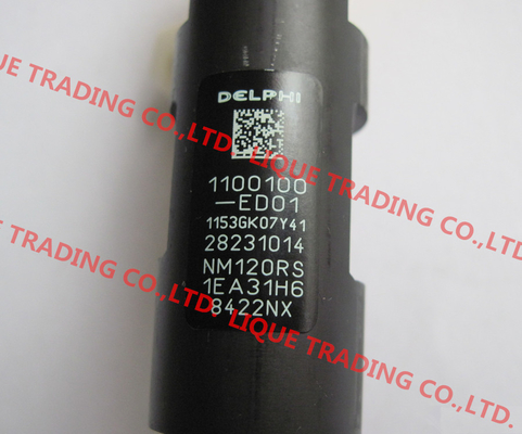 China DELPHI Common rail injector 28231014 for Great Wall Hover H6 1100100-ED01 supplier