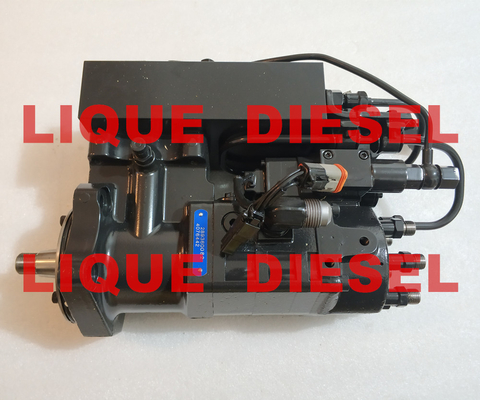 China Cummins  diesel fuel pump 4076442  4076442RX supplier