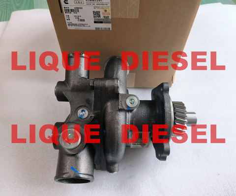 China Cummins Water Pump 4299030 4299030X  P4299030 supplier