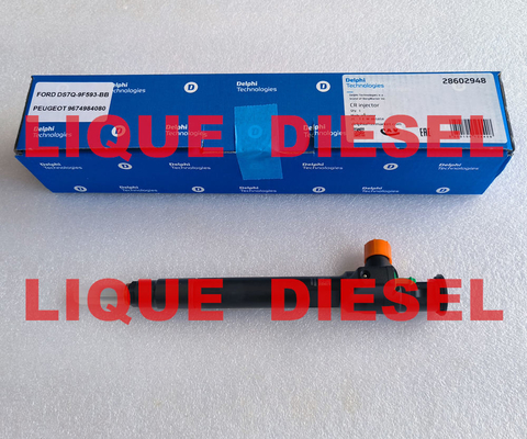 China DELPHI Common Rail Injector 28602948 9674984080  28388960 28319895 supplier