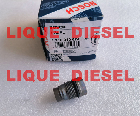 China BOSCH Pressure Relief Valve 1110010024  1 110 010 024 supplier