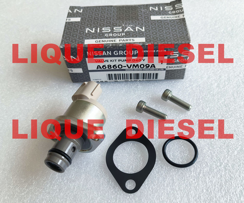 China Overhaul kits A6860-VM09A A6860VM09A  A6860 VM09A  include valve 294200-0360 supplier