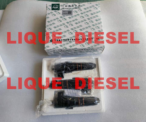 China 4914328 Common Rail Diesel Fuel M11 ISM11 QSM11 Injector 3411821 4914328 3054220 supplier