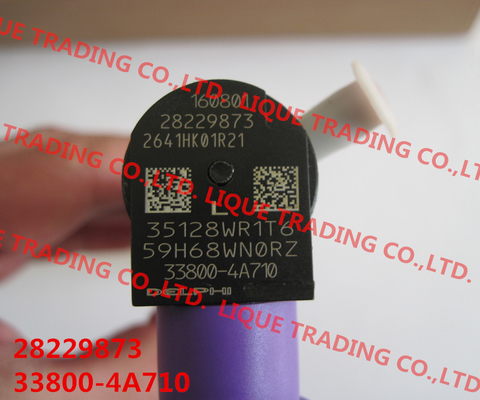 China 33800-4A710 / 28229873 DELPHI Common rail injector 28229873 for HYUNDA KIA 33800-4A710 / 338004A710 supplier