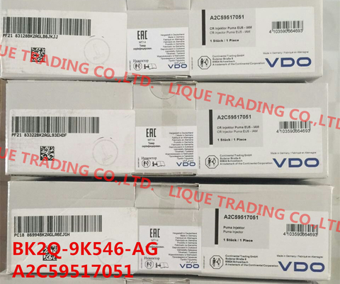 China BK2Q-9K546-AG Common Rail Injector BK2Q-9K546-AG / BK2Q9K546AG / A2C59517051 / 1746967 supplier