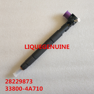 China 33800-4A710 / 28229873 DELPHI Common rail injector 28229873 for HYUNDA KIA 33800-4A710 / 338004A710 supplier