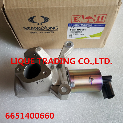 China SSANGYONG EGR 6651400660 Actuator Exhaust Gas Recirculation Valve A6651400660  EGR VALVE supplier