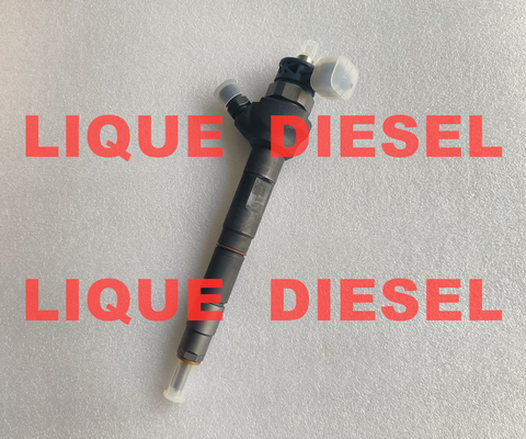 China BOSCH FUEL INJECTOR 0445110738 0 445 110 738 1042210FE010 1042200FE010 supplier
