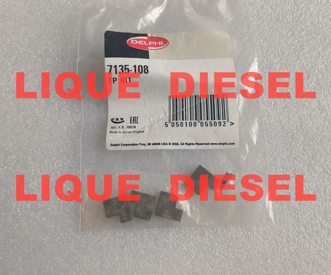 China DELPHI transfer pump blade 7135-108 7135108  7135 108 TP KIT supplier