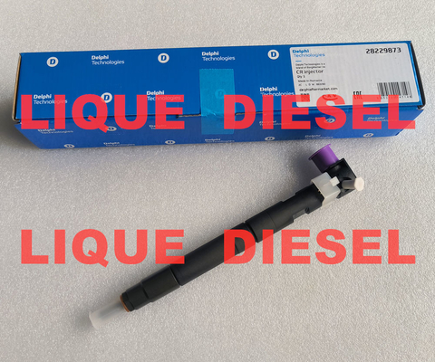 China 33800-4A710 28229873 DELPHI Common Rail fuel injector 33800-4A710 28229873 for HYUNDA KIA 33800 4A710 338004A710 supplier