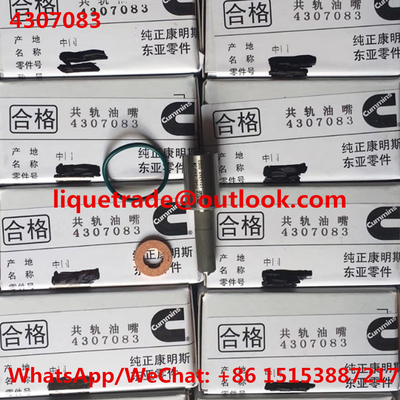 China CUMMINS Nozzle 4307083 , P5461846FSW ,5406060 original and brand new supplier