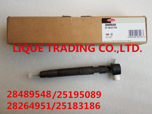 China DELPHI Common rail injector 28489548 / 25195089 = 28264951 / 25183186 supplier