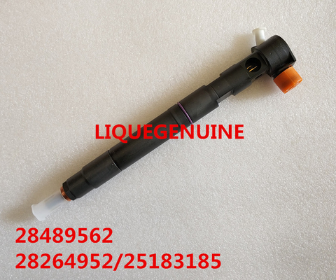 China DELPHI Common rail injector 28489562 / 25195088 , 28264952 / 25183185 supplier