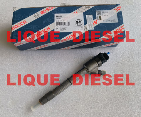 China BOSCH Common Rail Injector 0445110582 0445110581 0 445 110 582 0 445 110 581 33800-2F600 338002F600 for HYUNDAI KIA supplier