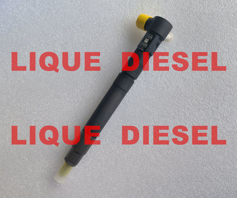 China DELPHI EMBR00301D Common rail injector R00301D 6710170121 A6710170121 for SSANGYONG Korando supplier