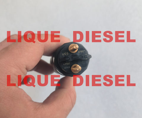 China BOSCH Common Rail Injector 0445120197 51101006123 Fuel injector 445120197 0 445 120 197 supplier