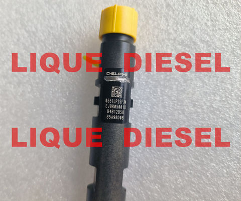 China DELPHI Common Rail Injector EJBR05001D R05001D 320/06623 320-06623 32006623 supplier