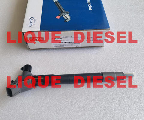 China Genuine INJECTOR 295900-0260  SH01-13-H50 DCRI200260 2959000260 2959000260AM supplier