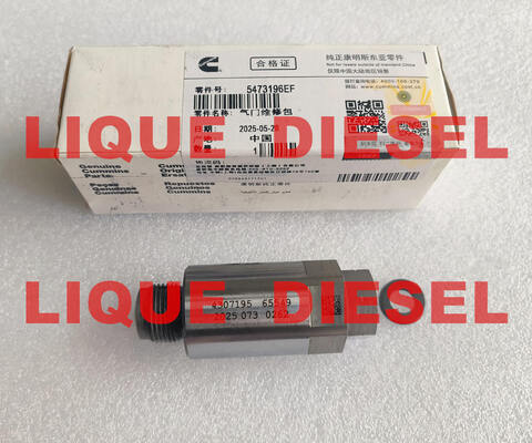 China Common Rail Limiter Valve 5473196 4954245 4383889 4307195 supplier