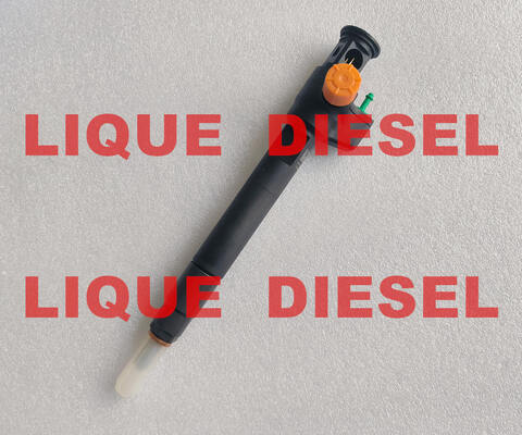 China Common Rail Injector 28602948 9674984080 28388960 28319895 D57Q-9F-893-BB D57Q9F893BB supplier