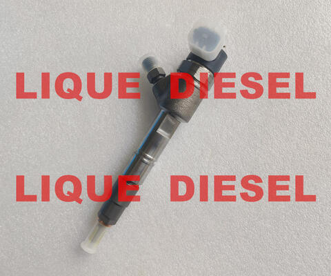 China Genuine Fuel Injector 0445111079 0 445 111 079 445111079 Common Rail Injector supplier