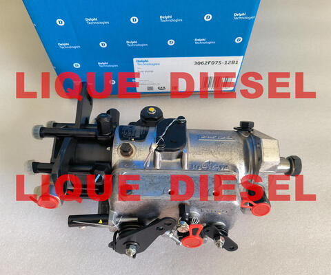 China Genuine Fuel Pump 3062F075 3062F075-12B1 V3062F075W-2 03817LTB 3062F071 supplier