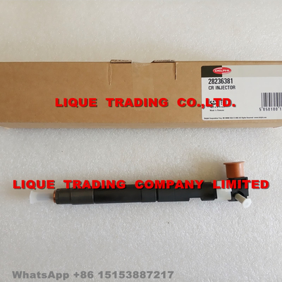 China DELPHI original injector 28236381, 33800 4A700, 33800-4A700, 338004A700 Genuine and New HYUNDAI /KIA supplier