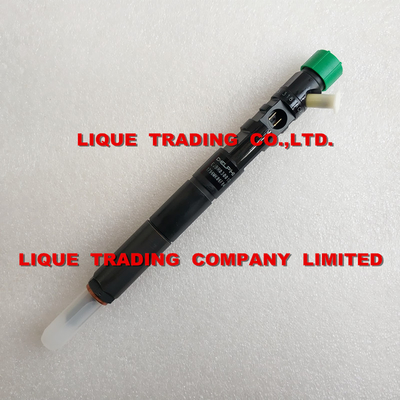 China New DELPHI Common rail injector EJBR03001D, EJBR02501Z for KIA 33800-4X900, 33801-4X900 supplier