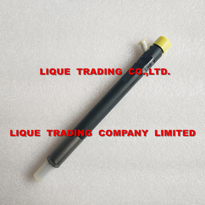 China DELPHI EJBR04901D Genuine and original CR Injector  R04901D , 28280600 , 27890116101 TML 2.2L E4 , New EJBR04901D supplier